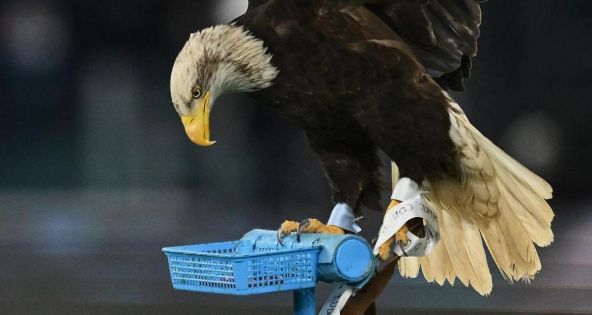 Lazio-Parma: solo mille tagliandi staccati, ora tocca agli abbonati